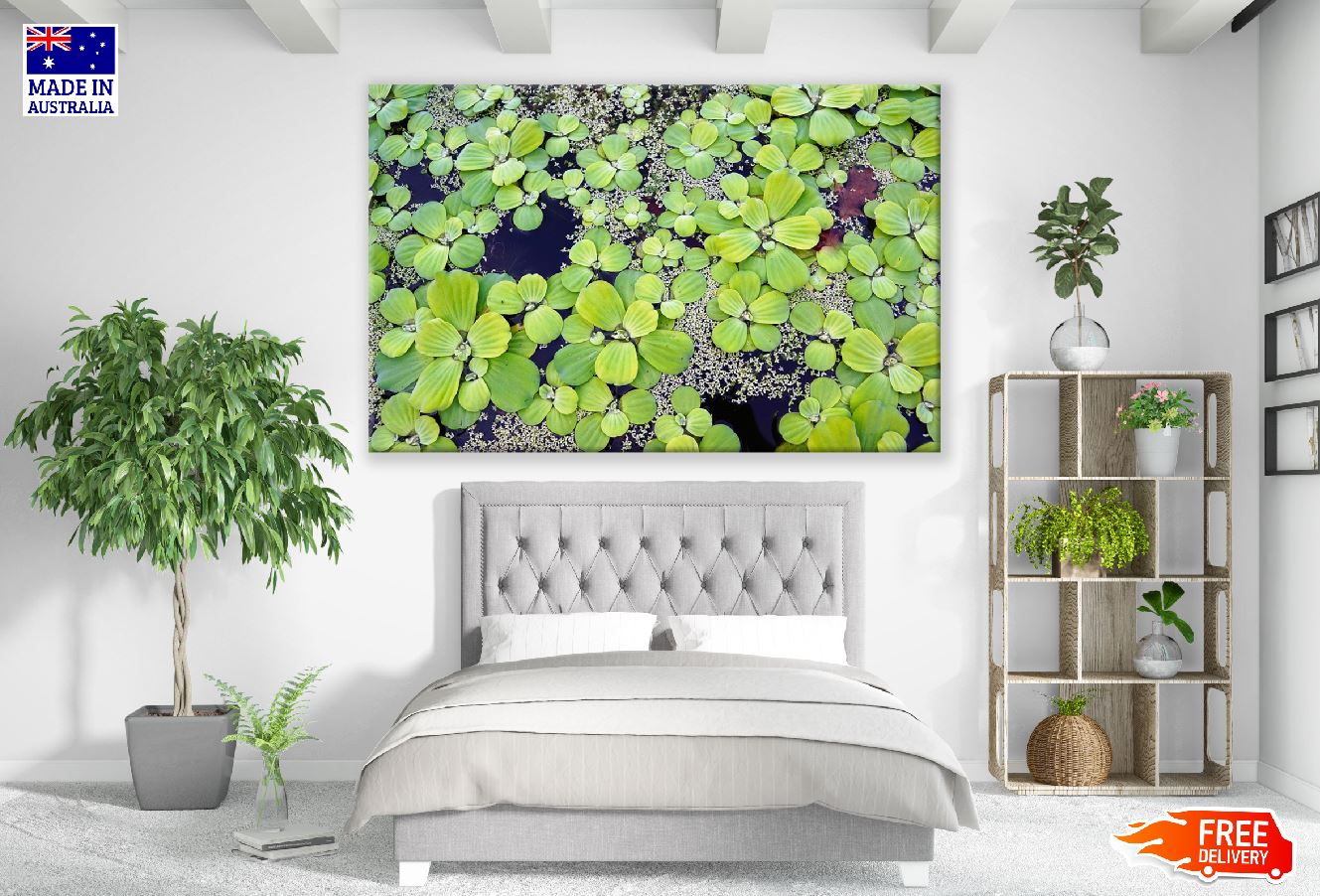 Water Plants Closeup Photograph Print 100% Australian Made