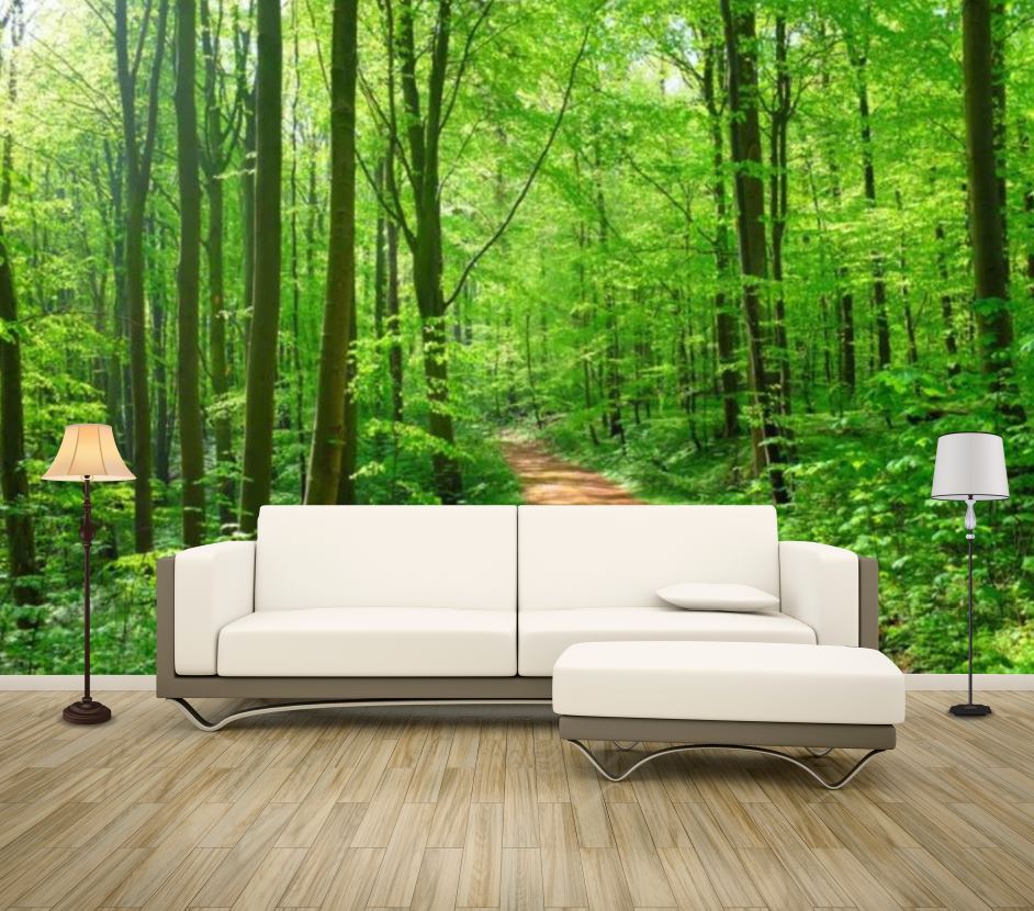 Wallpaper Murals Peel and Stick Removable Deep Forest Photograph High Quality