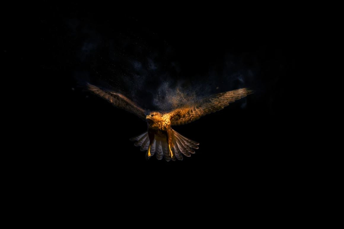 Flying Pheonix Abstract Design Home Decor Premium Quality Poster Print Choose Your Sizes