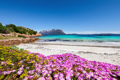 Rocks & Flowers at Doctors Beach Italy Print 100% Australian Made