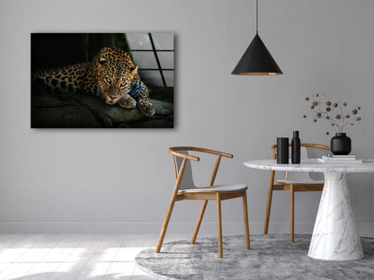 Leopard Closeup Photograph Acrylic Glass Print Tempered Glass Wall Art 100% Made in Australia Ready to Hang