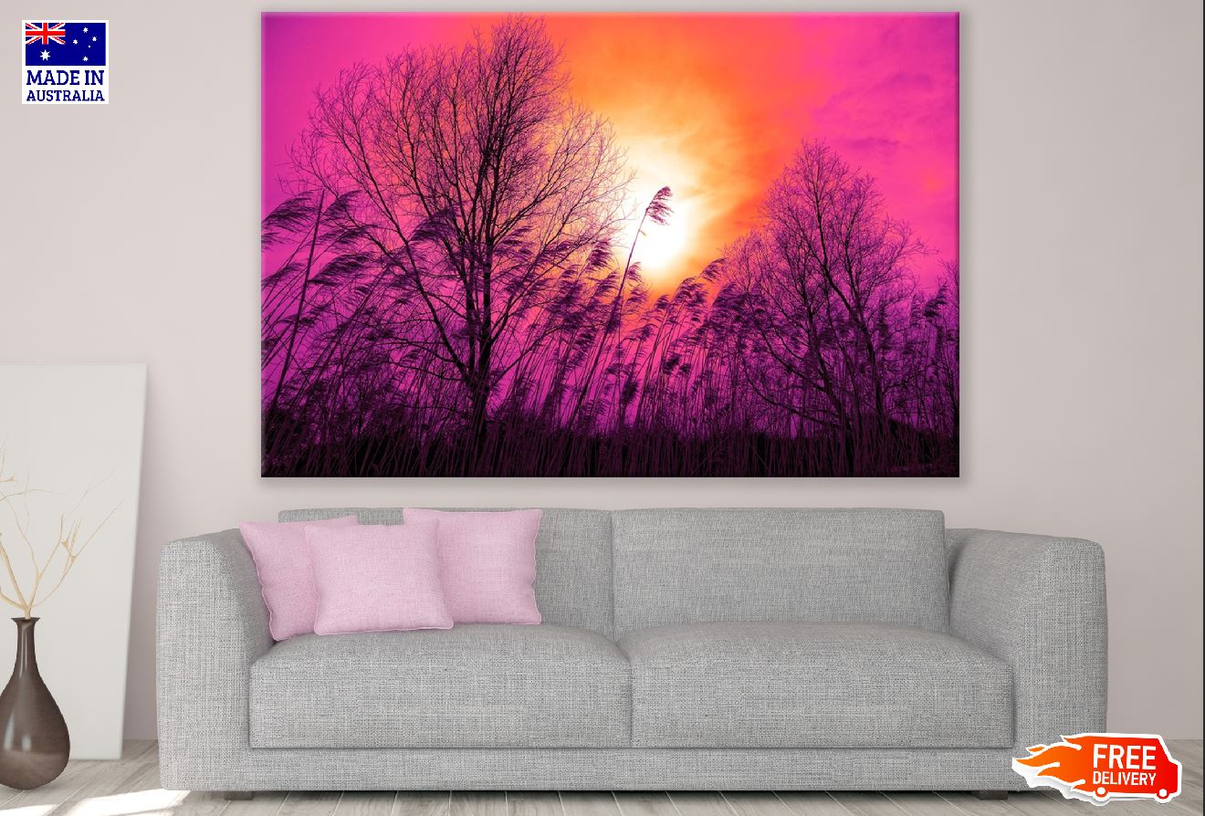 Trees & Pink Color Sky View Photograph Print 100% Australian Made