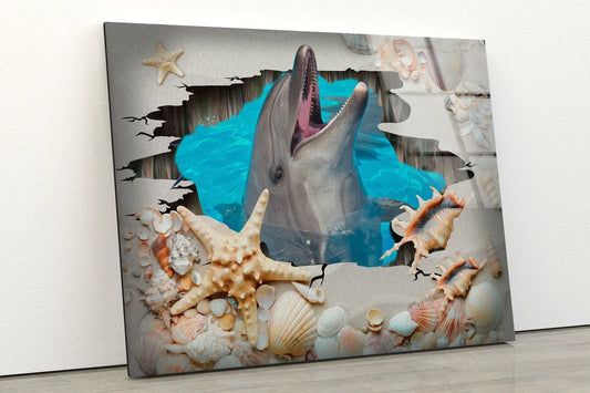 Dolphin & Starfish Photograph Acrylic Glass Print Tempered Glass Wall Art 100% Made in Australia Ready to Hang