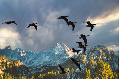 Stunning Mountain View with Flying Birds Photograph Print 100% Australian Made