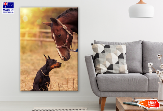 Dog & Horse Photograph Print 100% Australian Made