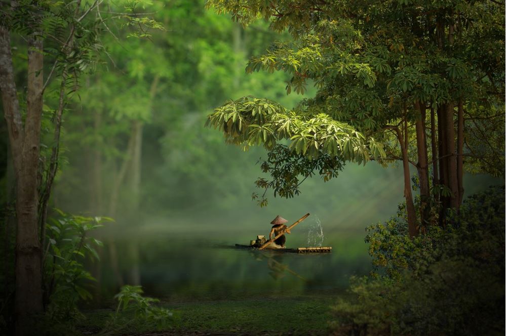 Man Sailiing a Boat on Lake in the Forest Photograph Print 100% Australian Made