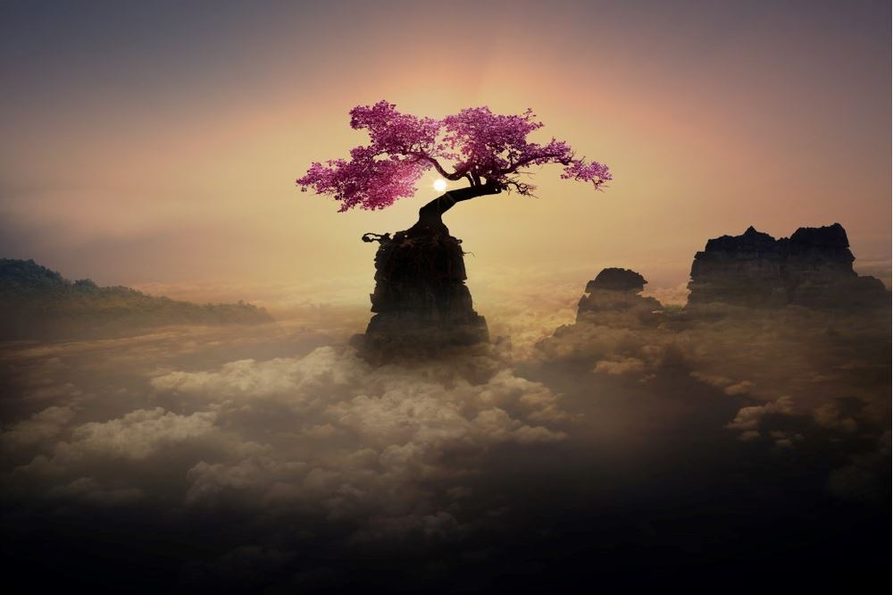 Blossom Tree on Mountain Sunset Scenery Photograph Home Decor Premium Quality Poster Print Choose Your Sizes