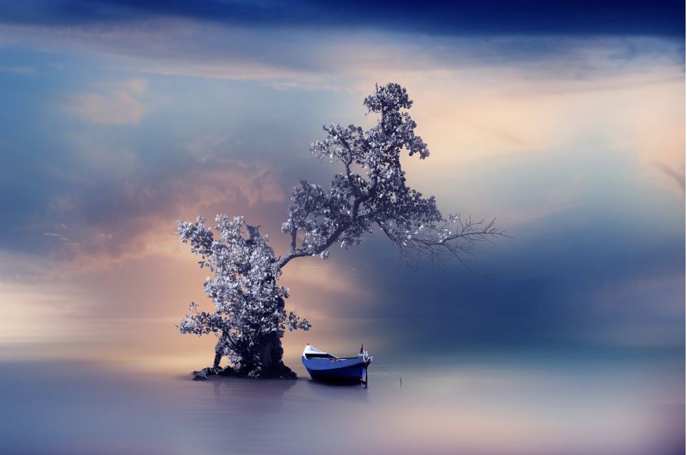 Tree & Boat on a Lake Photograph Print 100% Australian Made