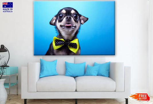 Beautiful Chihuahua Dog with Bow-Tie Photograph Print 100% Australian Made