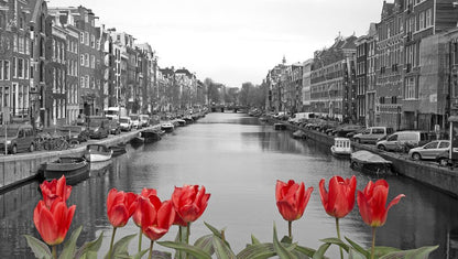 B&W City View with Canal & Red Flowers Photograph Print 100% Australian Made