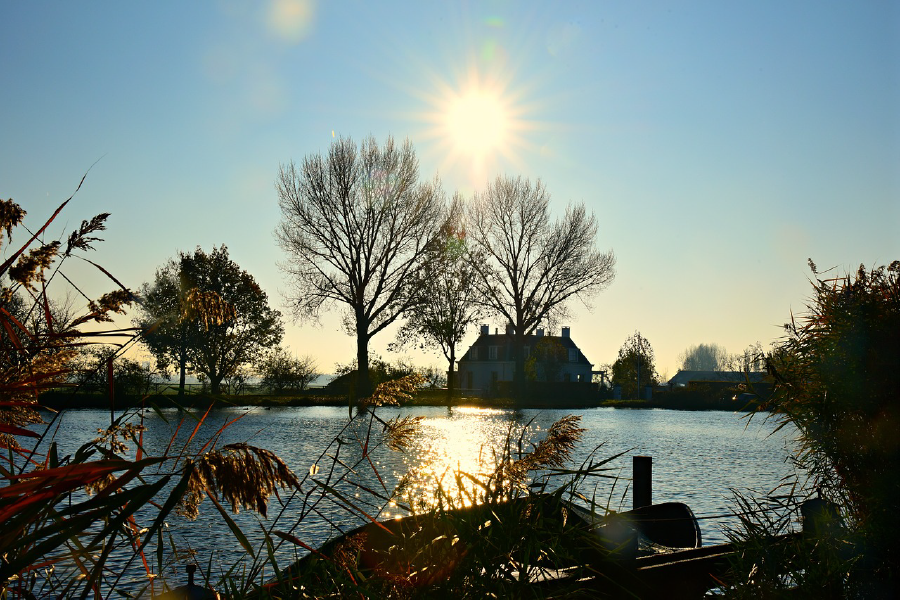 Trees & Houses Near Lake Photograph Print 100% Australian Made