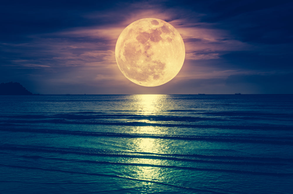 Stunning Moon & Beach Scenery Photograph Print 100% Australian Made