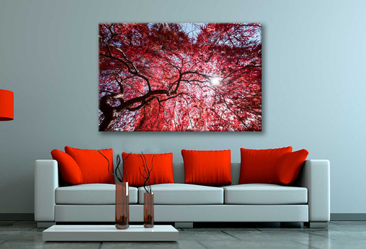 Bella Home Red Autumn leaves With Sky View Print Canvas Ready to hang