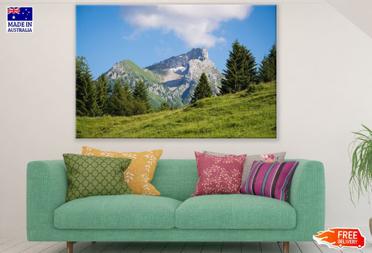 Forest Mountain Closeup Photograph Print 100% Australian Made