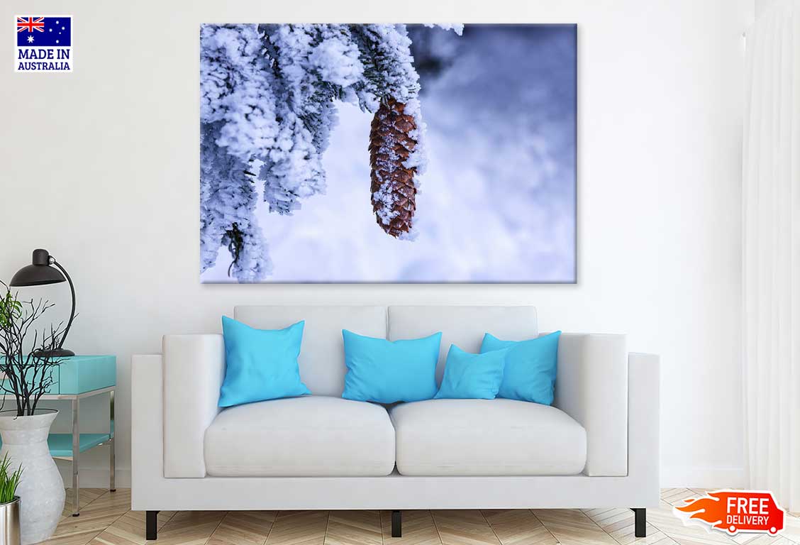 Snow Covered Pine Cone Photograph Print 100% Australian Made