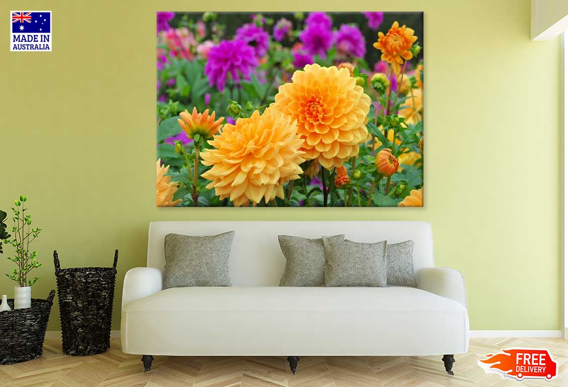 Yellow Dahlia Flowers Photograph Print 100% Australian Made