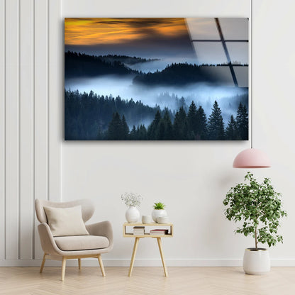 Misty Forest Sunset Photograph Acrylic Glass Print Tempered Glass Wall Art 100% Made in Australia Ready to Hang