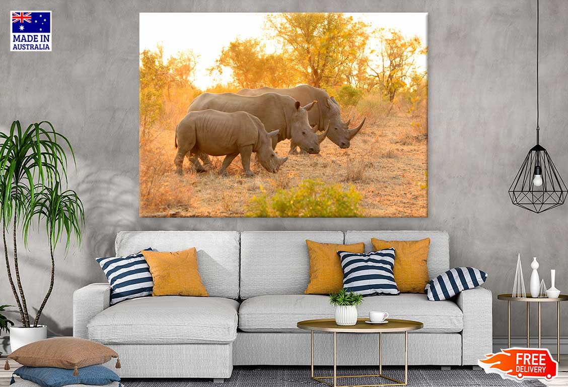 Rhinos in Forest View Photograph Print 100% Australian Made