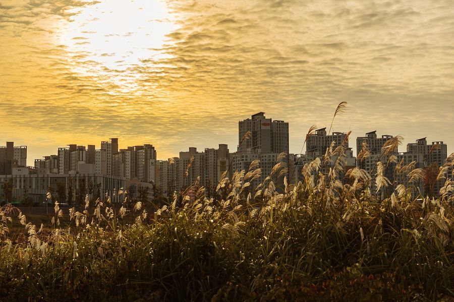 South Korea Capital City, from an Hill Photograph Print 100% Australian Made