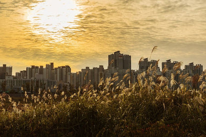 South Korea Capital City, from an Hill Photograph Print 100% Australian Made
