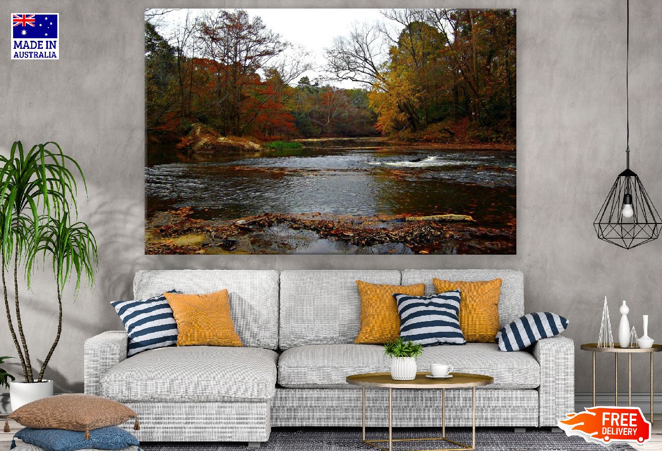 Autumn Forest & River View Photograph Print 100% Australian Made
