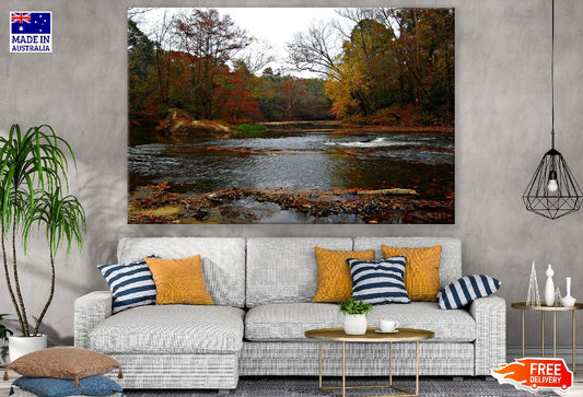 Autumn Forest & River View Photograph Print 100% Australian Made
