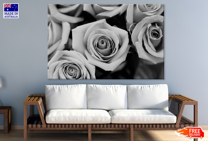 B&W Rose Flowers Photograph Print 100% Australian Made