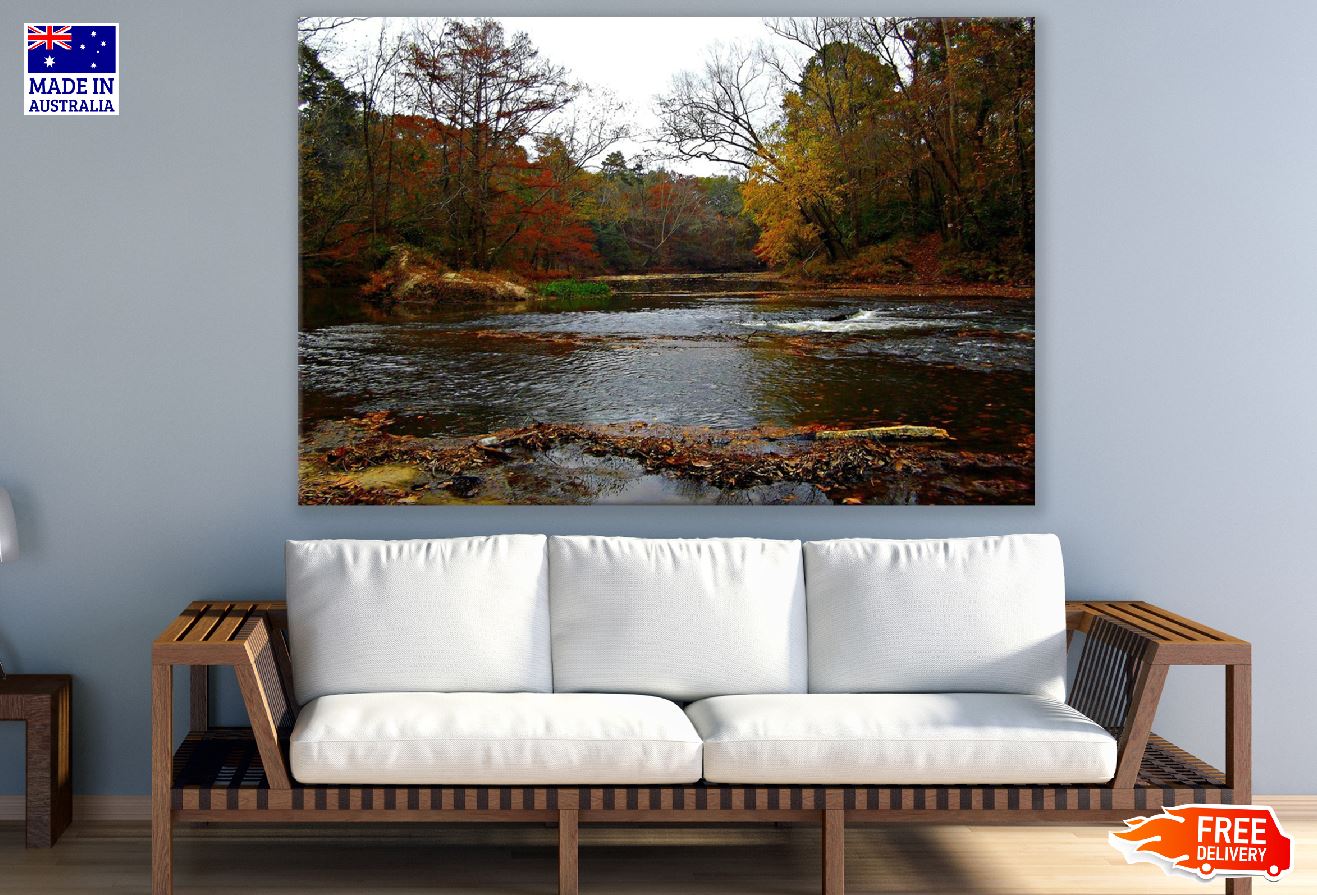 Autumn Forest & River View Photograph Print 100% Australian Made