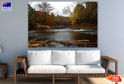 Autumn Forest & River View Photograph Print 100% Australian Made