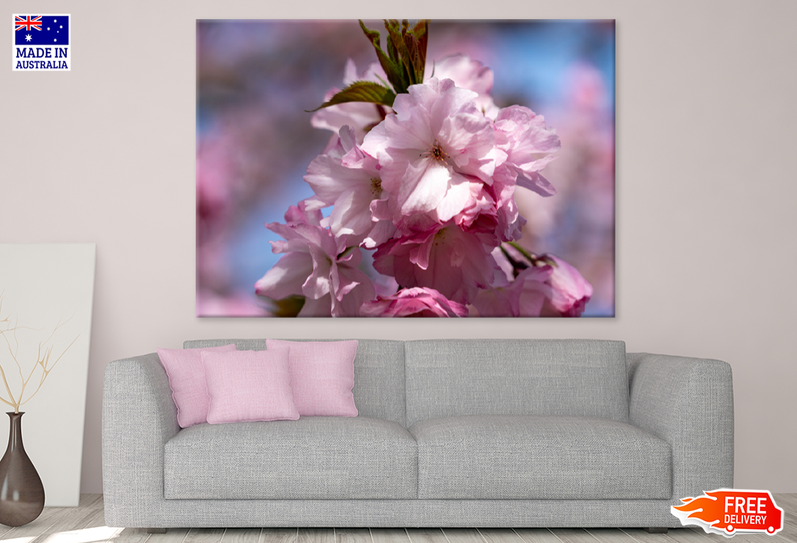 Pink Flower Closeup Photograph Print 100% Australian Made