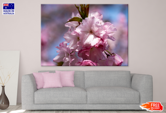 Pink Flower Closeup Photograph Print 100% Australian Made