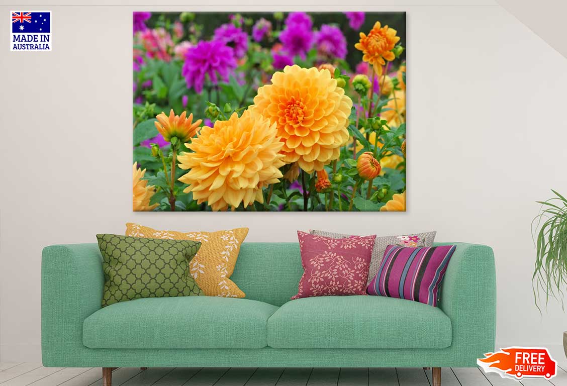 Yellow Dahlia Flowers Photograph Print 100% Australian Made