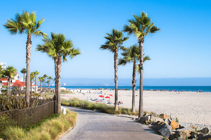 Beach & Palm Trees View Photograph Print 100% Australian Made