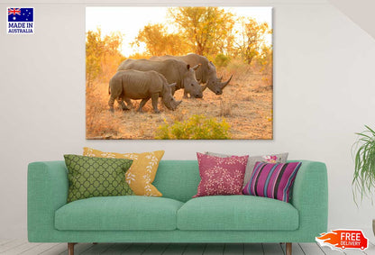 Rhinos in Forest View Photograph Print 100% Australian Made