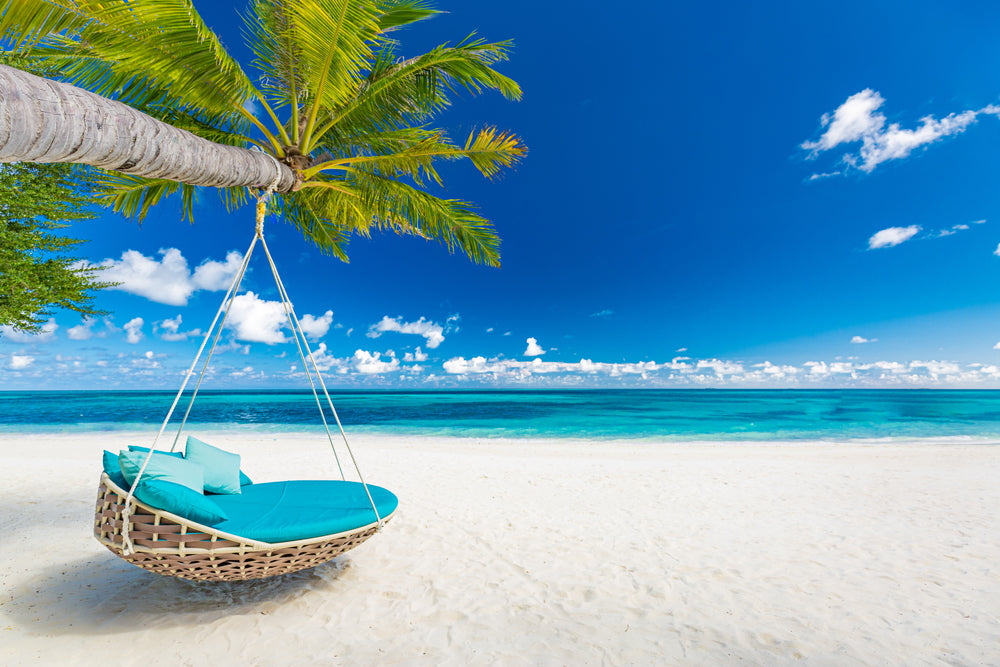 Hammock on Beach Photograph Print 100% Australian Made