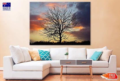 Tree with Birds & Sunset Sky Photograph Print 100% Australian Made