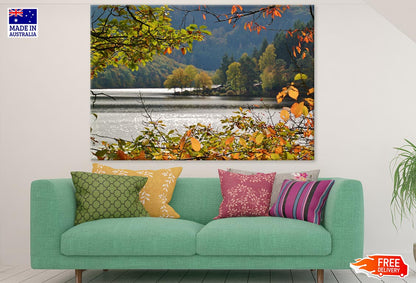 Autumn Tree Branched Near River Photograph Print 100% Australian Made