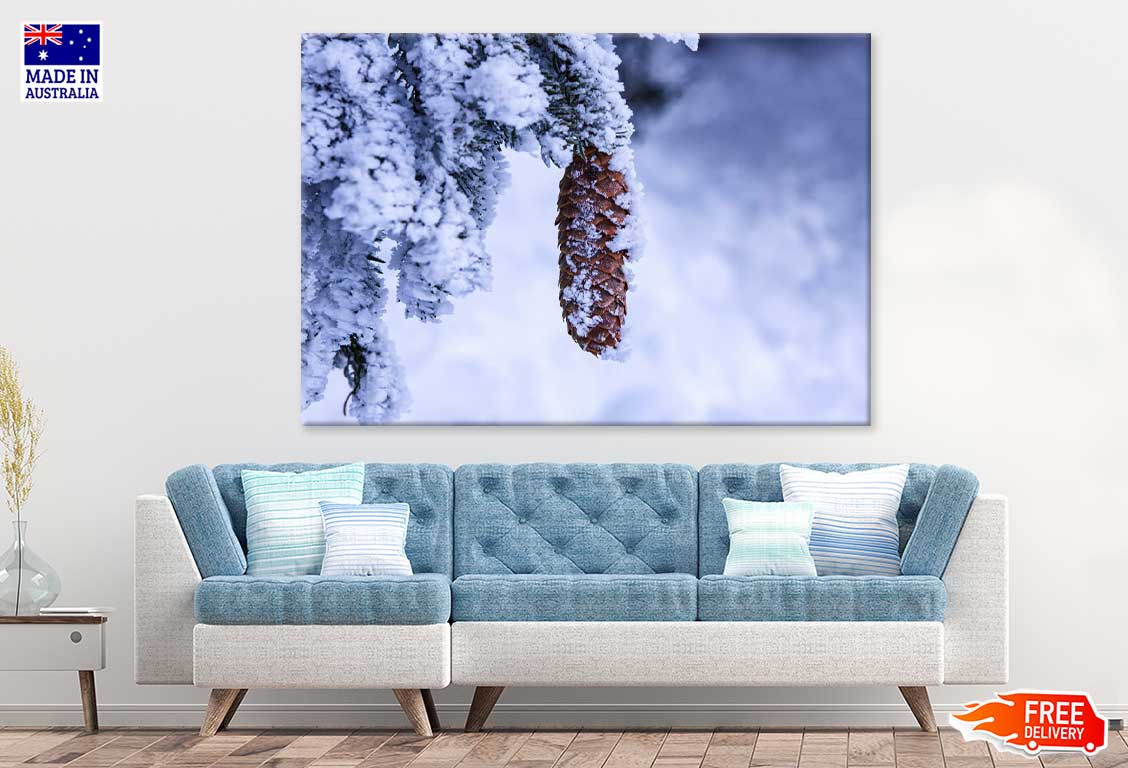 Snow Covered Pine Cone Photograph Print 100% Australian Made