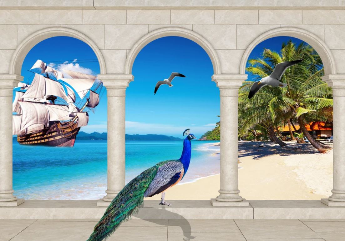 Peacock & Ship Scenery View Home Decor Premium Quality Poster Print Choose Your Sizes