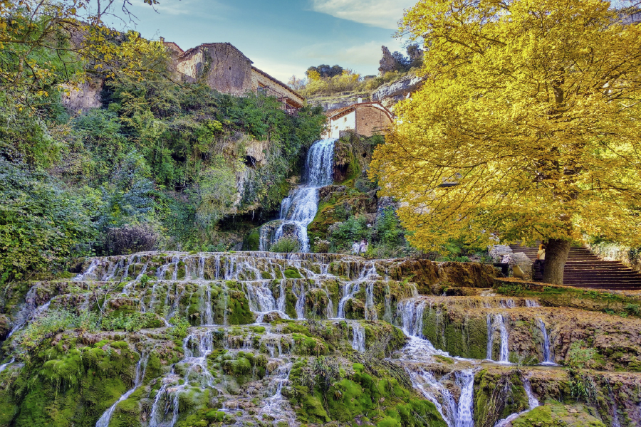 Waterfall & Autumn Trees View Print 100% Australian Made