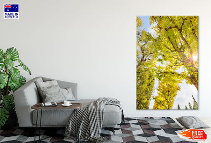 Yellow Leaves Tree & Bark View Photograph Print 100% Australian Made