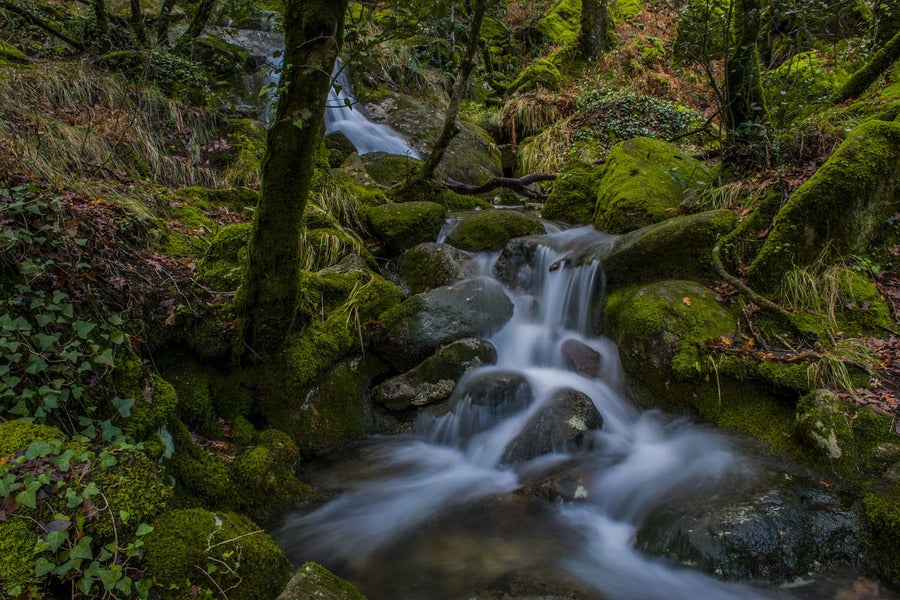 Water Cascades on the Mountain Creek Photograph Print 100% Australian Made