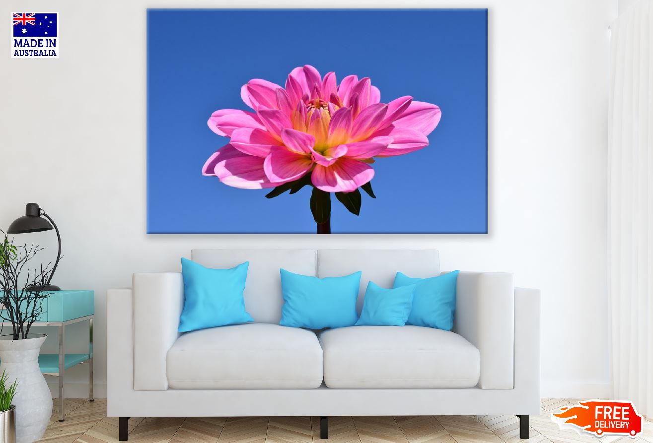 Pink Dahlia Flower & Blue Sky Photograph Print 100% Australian Made
