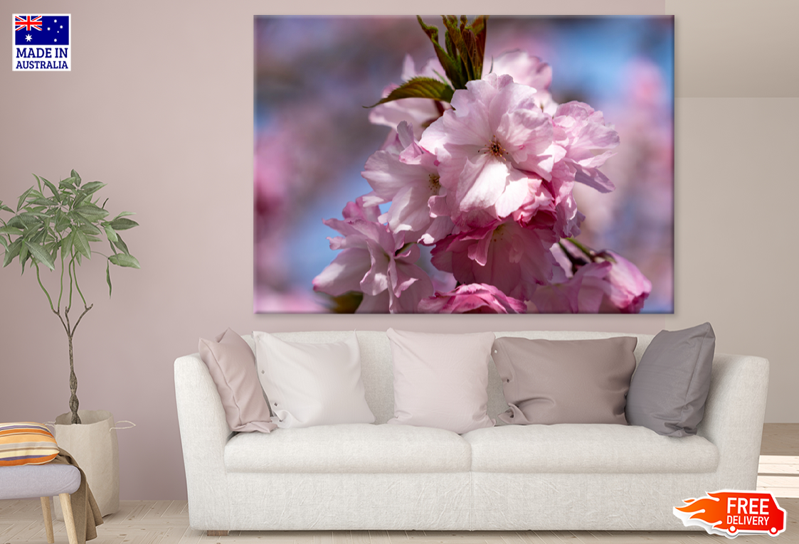 Pink Flower Closeup Photograph Print 100% Australian Made