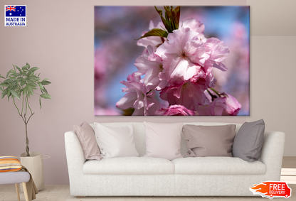 Pink Flower Closeup Photograph Print 100% Australian Made