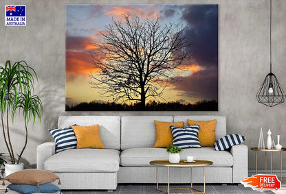 Tree with Birds & Sunset Sky Photograph Print 100% Australian Made