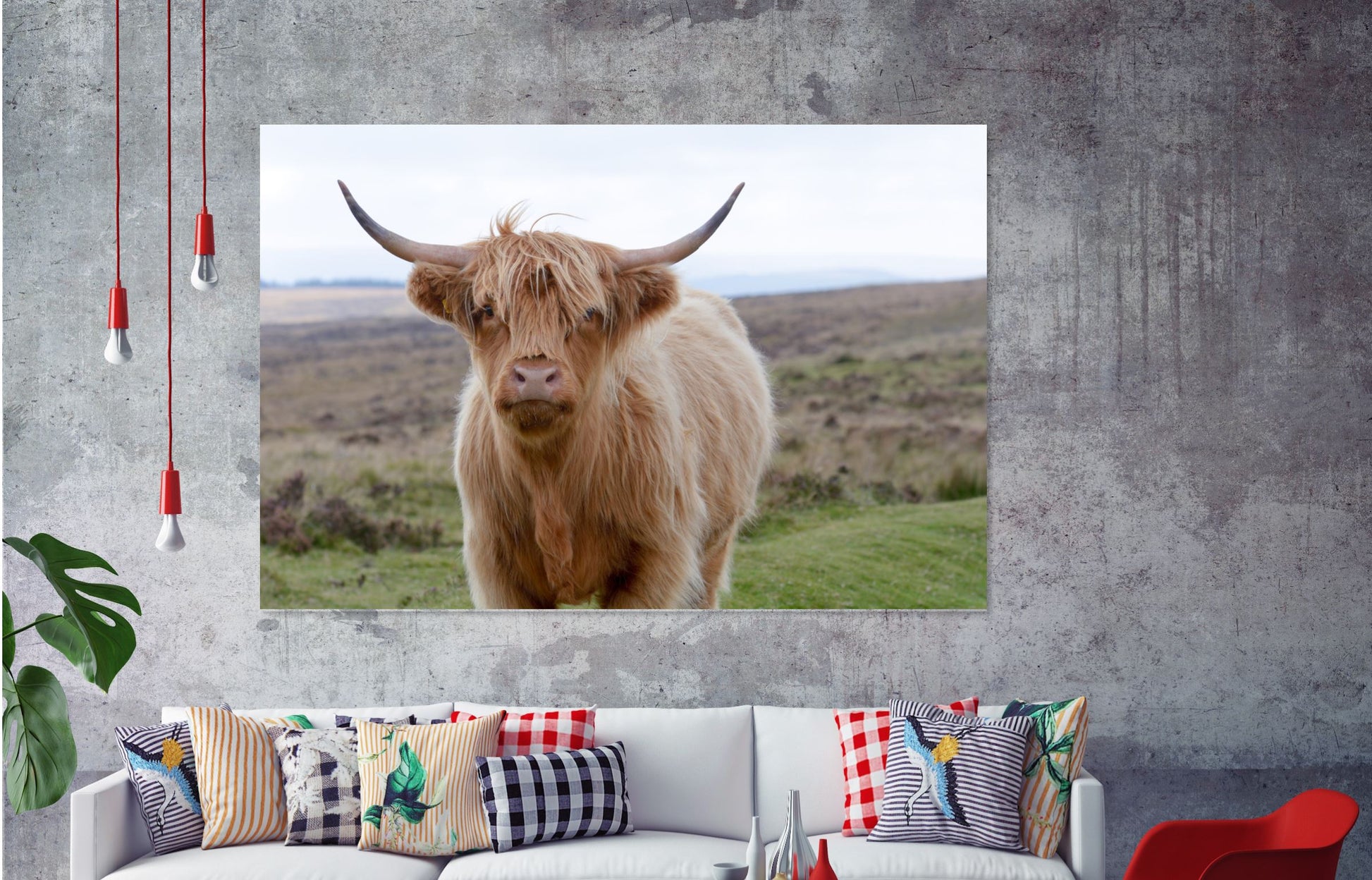 Highland cow , animal Print 100% Australian Made