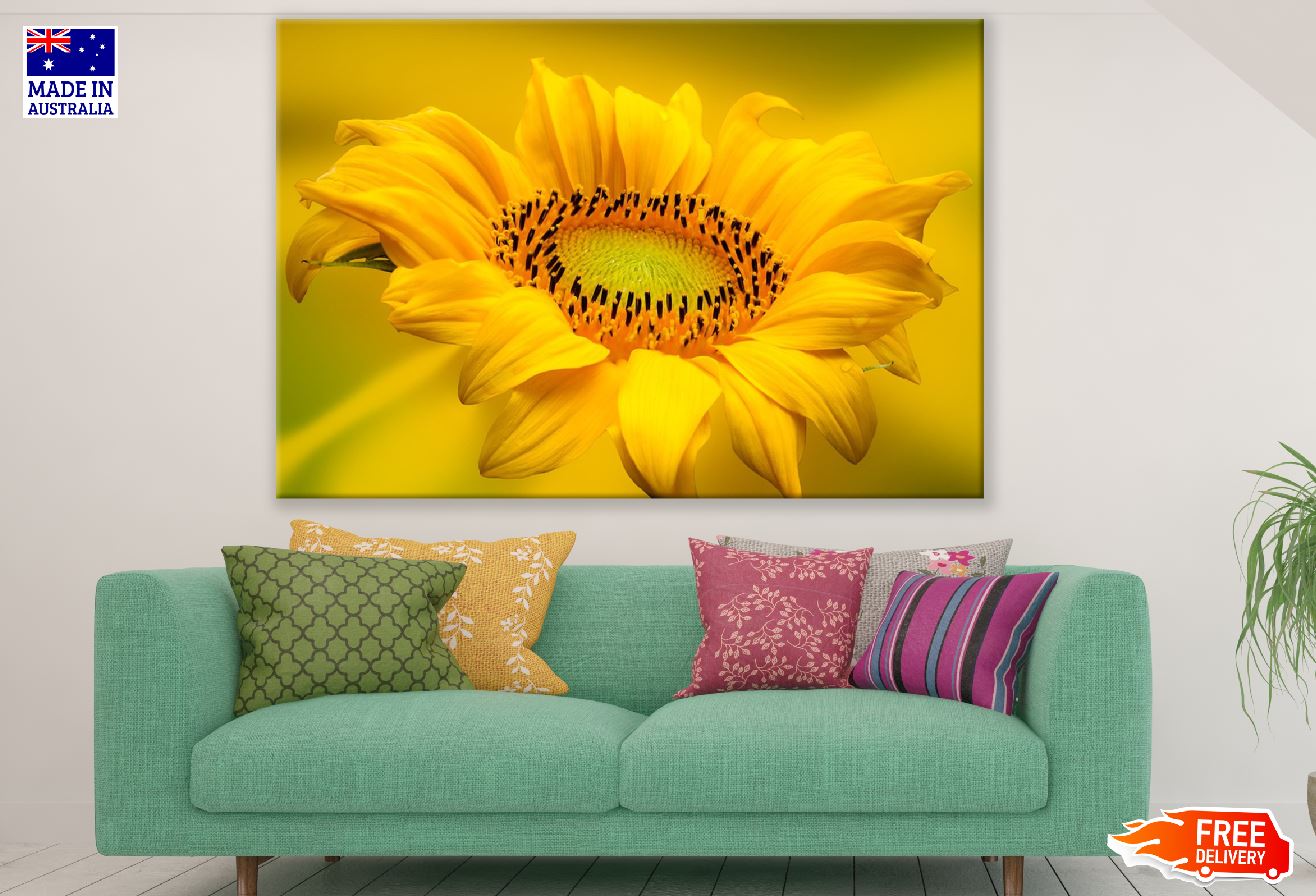 Sunflower Closeup Photograph Print 100% Australian Made