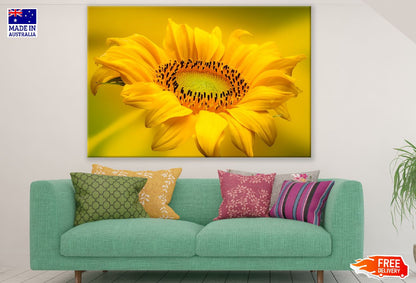 Sunflower Closeup Photograph Print 100% Australian Made