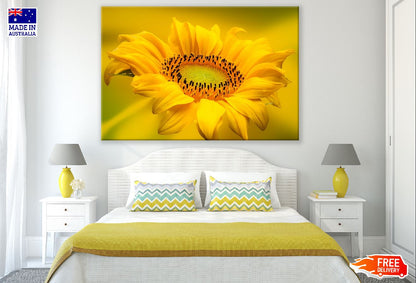 Sunflower Closeup Photograph Print 100% Australian Made
